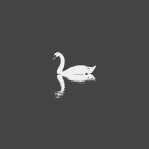 俄罗斯幼女裸乳视频网站免费观看
